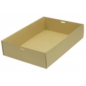 CATERING TRAY MEDIUM100/CTN