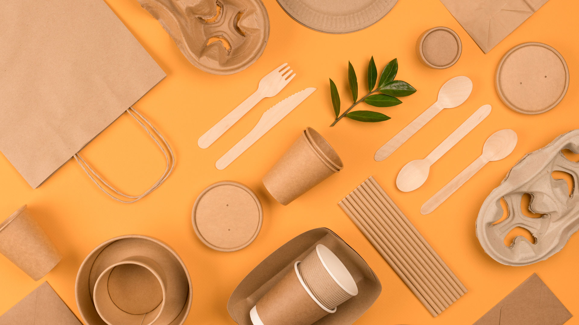 Sustainable Packaging Products Showcase