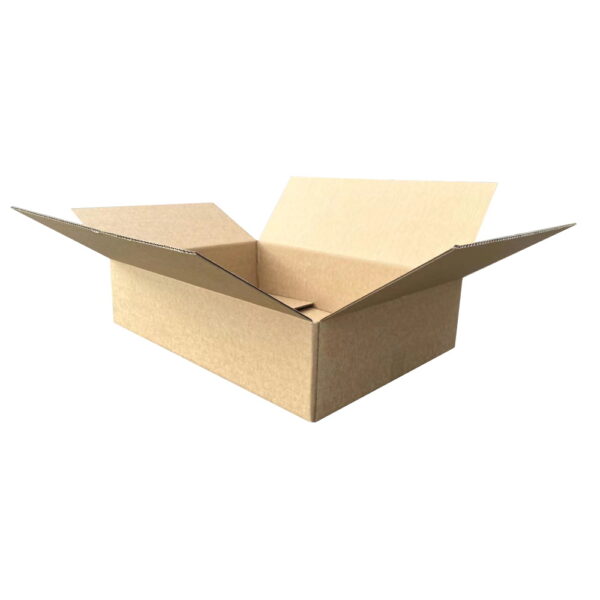 Carton Box 240 x 160 x 150