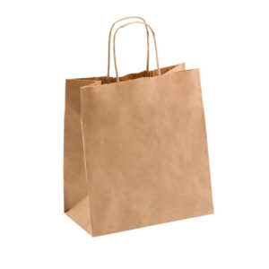 SMALL DELIVERY BAG 245x220x120