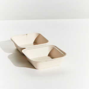 Sugarcane Burger Box N